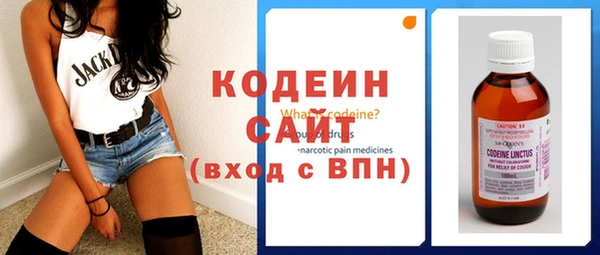 гашик Алексин