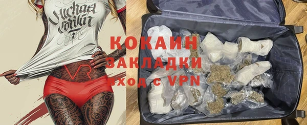 стаф Аркадак