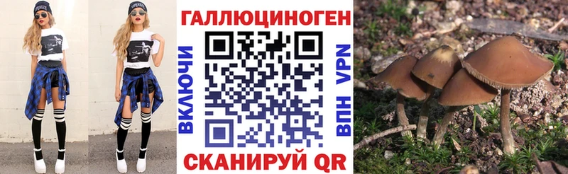 Галлюциногенные грибы Psilocybe  Солигалич 